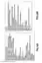 Fig. 07 - Image processing apparatus, image processing method, and recording medium