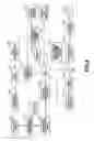 Fig. 09 - Image processing apparatus, image processing method, and recording medium