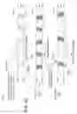 Fig. 20 - Memory control component with inter-rank skew tolerance
