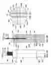 Fig. 20 - POLYMORPHIC SURFACE SYSTEMS AND METHODS