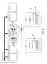 Fig. 05 - Apparatus and method for wafer cleaning