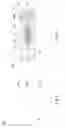 Fig. 05 - Inverters and manufacturing methods thereof