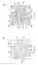 Fig. 31 - Leadless semiconductor packages, leadframes therefor, and methods of making