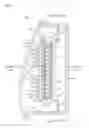 Fig. 03 - Light emitting device having a plurality of light emitting parts with brightnesses decreased in a direction