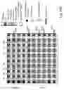 Fig. 136 - Semiconductor memory device and structure