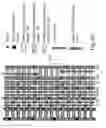 Fig. 64 - Semiconductor memory device and structure
