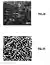 Fig. 10 - Direct Growth Of Optoelectronic Devices On CMOS Technology
