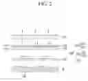 Fig. 03 - Display device