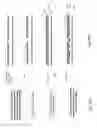 Fig. 24 - LASER PROCESSING FOR BACK CONTACT CRYSTALLINE SILICON SOLAR CELL FABRICATION
