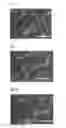 Fig. 07 - Method for manufacturing light emitting element and light emitting element