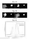Fig. 07 - Light emitting diode and manufacturing method therefor