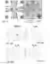 Fig. 25 - Method for fabricating superconducting devices using a focused ion beam