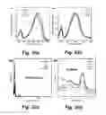 Fig. 03 - SEMICONDUCTING POLYMERS WITH MOBILITY APPROACHING ONE HUNDRED SQUARE CENTIMETERS PER VOLT PER SECOND