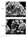Fig. 02 - HIGH ENERGY CATHODE MATERIAL