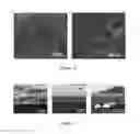 Fig. 11 - Composite lithium metal anodes for lithium batteries with reduced volumetric fluctuation during cycling and dendrite suppression