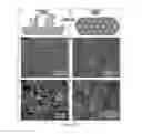 Fig. 17 - Composite lithium metal anodes for lithium batteries with reduced volumetric fluctuation during cycling and dendrite suppression