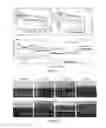 Fig. 20 - Composite lithium metal anodes for lithium batteries with reduced volumetric fluctuation during cycling and dendrite suppression