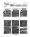 Fig. 28 - Composite lithium metal anodes for lithium batteries with reduced volumetric fluctuation during cycling and dendrite suppression