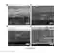 Fig. 34 - Composite lithium metal anodes for lithium batteries with reduced volumetric fluctuation during cycling and dendrite suppression