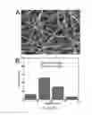 Fig. 43 - Composite lithium metal anodes for lithium batteries with reduced volumetric fluctuation during cycling and dendrite suppression