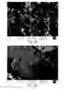 Fig. 03 - Methods of forming composite material films
