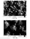 Fig. 04 - Methods of forming composite material films