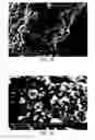 Fig. 19 - Methods of forming composite material films