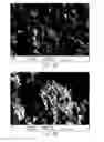 Fig. 22 - Methods of forming composite material films