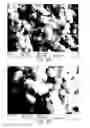 Fig. 23 - Methods of forming composite material films