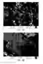 Fig. 03 - Methods of forming composite material films