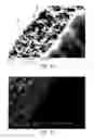 Fig. 18 - Methods of forming composite material films