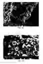 Fig. 19 - Methods of forming composite material films