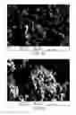 Fig. 22 - Methods of forming composite material films