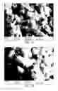 Fig. 23 - Methods of forming composite material films