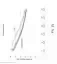 Fig. 27 - Methods of forming composite material films