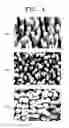 Fig. 05 - NEGATIVE ELECTRODE FOR SECONDARY BATTERY AND MANUFACTURING METHOD THEREFOR