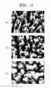 Fig. 06 - NEGATIVE ELECTRODE FOR SECONDARY BATTERY AND MANUFACTURING METHOD THEREFOR