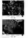 Fig. 03 - Silicon particles for battery electrodes