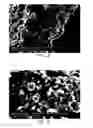 Fig. 19 - Silicon particles for battery electrodes
