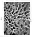Fig. 06 - Electroactive Materials for Metal-Ion Batteries