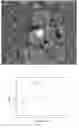 Fig. 02 - Additive for positive electrode material, positive electrode material and lithium-ion battery comprising the same, and method thereof