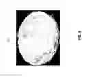 Fig. 13 - Resilient flow structures for electrochemical cell
