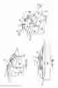Fig. 07 - Radome-reflector assembly mechanism