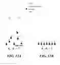 Fig. 12 - LATERAL ELECTROCHEMICAL ETCHING OF III-NITRIDE MATERIALS FOR MICROFABRICATION