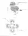 Fig. 170 - Electromagnetic device