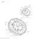 Fig. 08 - Motor with bus-bar assembly