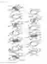 Fig. 09 - NONRECIPROCAL CIRCUIT ELEMENT