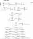 Fig. 102 - Coding method, decoding method, coder, and decoder