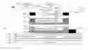 Fig. 01 - Multilayer vertical cavity surface emitting electro-absorption optical transceiver