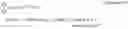 Fig. 32 - Method and apparatus for transmitting or detecting a primary synchronization signal